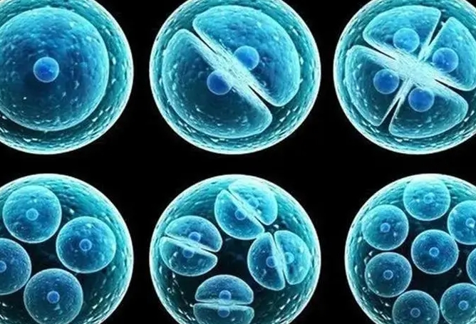 天津医科大学总医院做试管婴儿选择找哪位医生更容易成功？