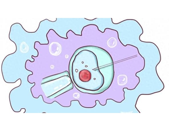深圳试管助孕需要多少钱？费用明细是怎么样的