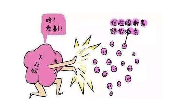 FSH值过高能做试管婴儿吗？ 如何降低试管的fsh值？