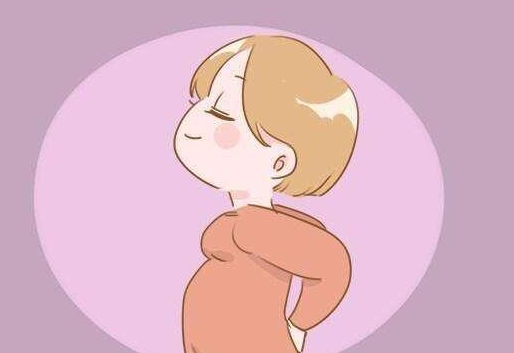 24清宫图准确性揭秘，如何看？准确率多高？