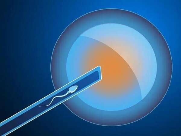 泰国试管婴儿中介套路深，1000字教你如何找靠谱机构