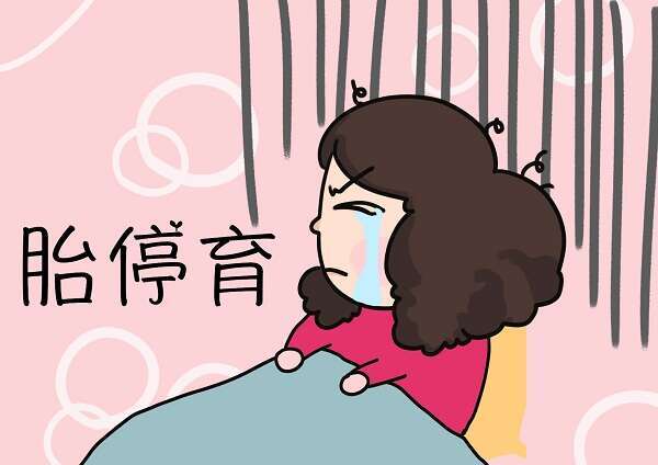 试管婴儿多胎   并非人人可做，这些条件和风险要提前了解