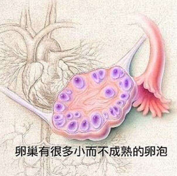 柬埔寨做一次试管要多久？赴柬助孕流程给你捋清了