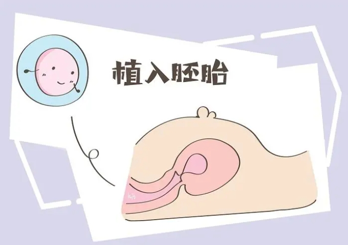 做试管婴儿要多少钱？40岁如何提高卵子试管的成功率？
