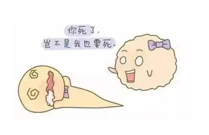 芜湖二院可以做试管婴儿吗？费用怎么样？