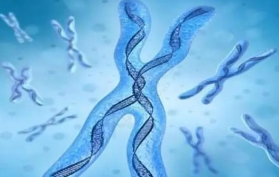 试管婴儿囊胚移植预产期会不会比自然怀孕提前19天呢？