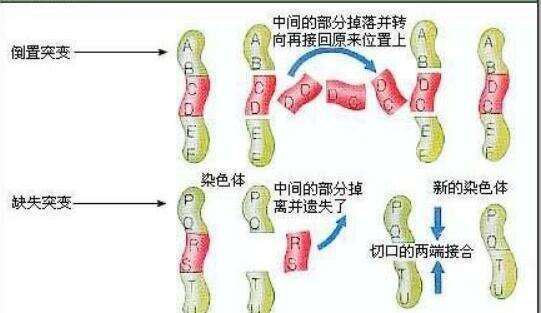 杭州排名前四的试管婴儿医院介绍，三甲医院