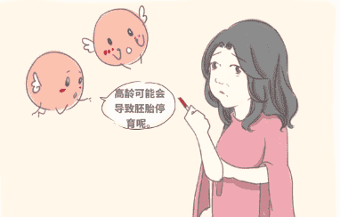 天津做试管婴儿期间能养外面捡到的流浪猫吗？
