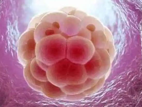 2025年银川试管婴儿医院排名，附试管婴儿成功率和费用一览
