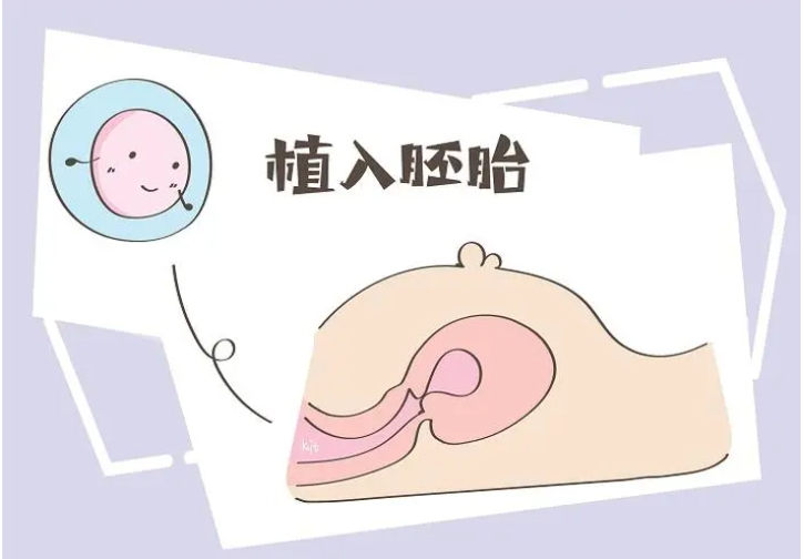 浙江试管婴儿费用大约多少？在浙江做试管要花多少钱？