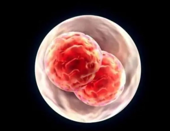 昆明医科大学第二附属医院试管婴儿费用分析，跟着助孕流程走心里有数