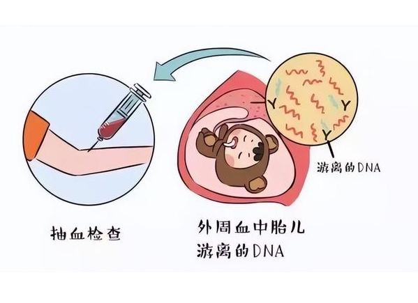 2025南京试管婴儿医院大全，权威top机构排名公布