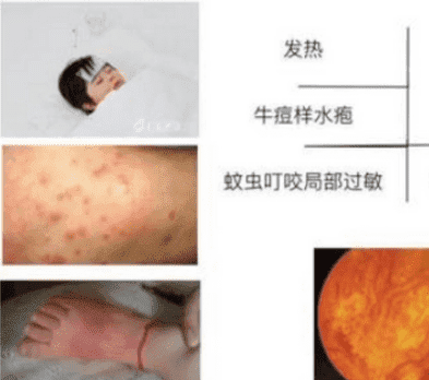 濮阳试管婴儿医院名单发布，市妇幼         技术最佳