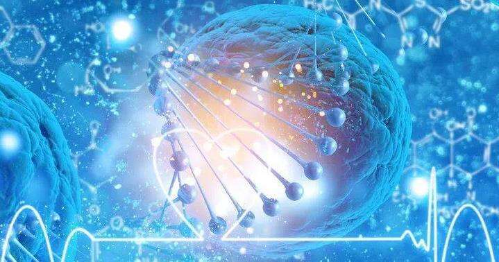 子宫内膜薄可以一次性成功吗？分享内膜薄提高三代试管成功率的方法