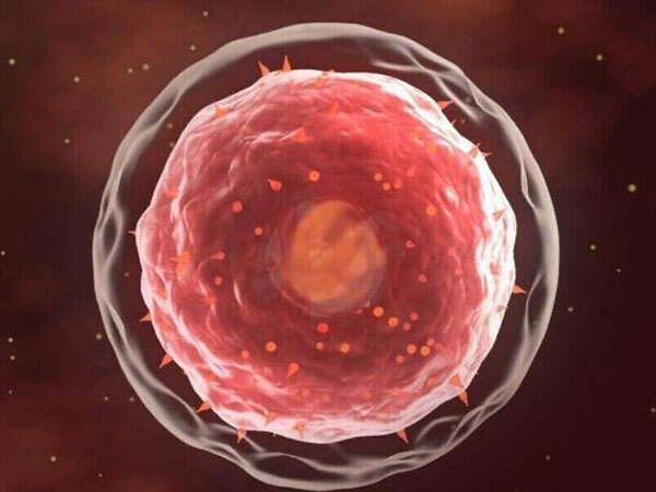 治疗子宫腺肌症的药物有哪些？效果怎么样？