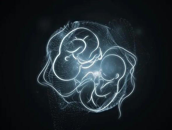 一个试管婴儿需要多少钱？做一个试管婴儿大概多少钱
