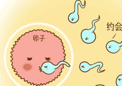 扬州地区有哪些私立的机构可以做试管技术？生育年龄时期是什么时候？