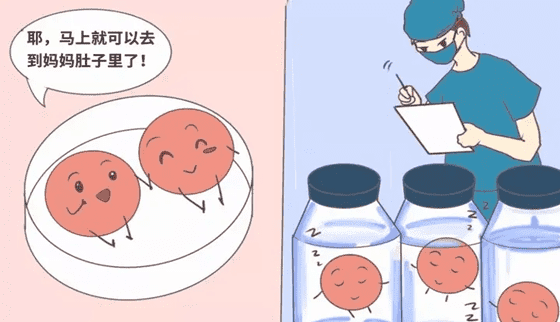 试管怎么促排卵泡多一点_试管保险购买攻略