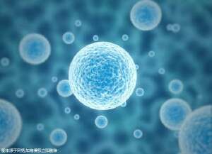 3天鲜胚移植着床1-8天详细过程是怎么样