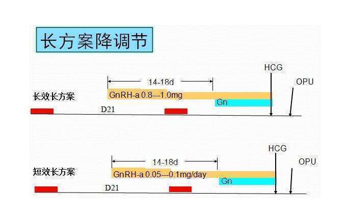 做试管婴儿要多少钱？揭秘试管婴儿费用构成