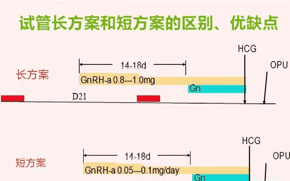 未婚在全国做试管花费明细表，费用明细一目了然
