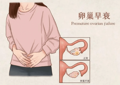 现在试管婴儿需要多少钱？试管婴儿费用一览