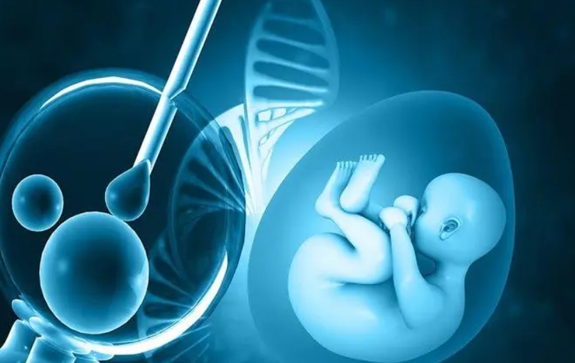 苏州有哪些医院的生殖科能做三代试管？成功率高吗？