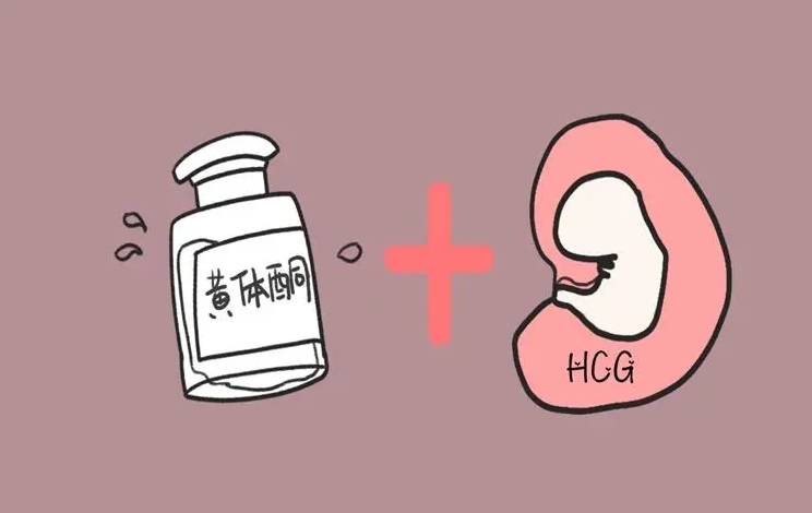 上海金山区可以做试管婴儿吗？