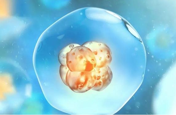 2025年湖北试管婴儿排名前10位的医院，有你心仪的医院上榜吗？