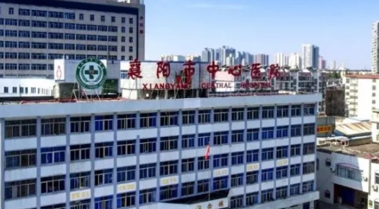 赴美试管婴儿攻略：避开弯路，一步到位