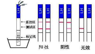 第三代试管婴儿成功率高吗？影响胚胎移植成功的因素？