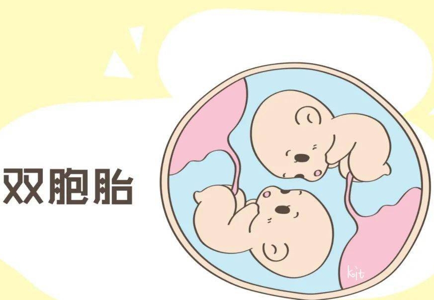 石家庄地区有哪些私立的机构可以做试管技术？怎样选择靠谱的医生？
