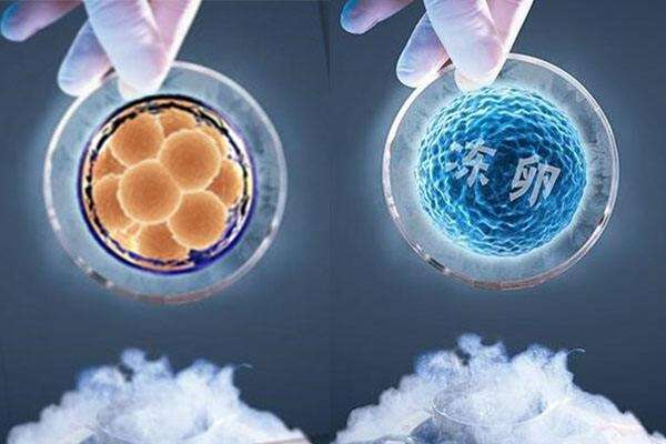 精子质量不好可以做试管婴儿吗