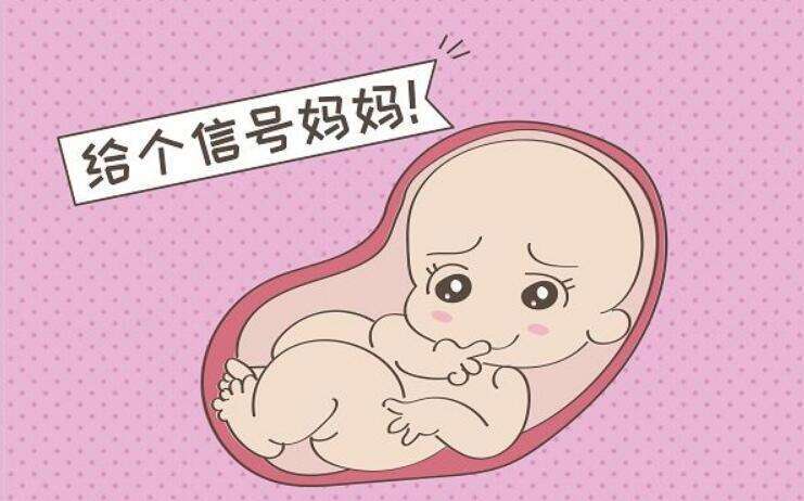 上海做一次三代试管婴儿多少钱？贵不贵？
