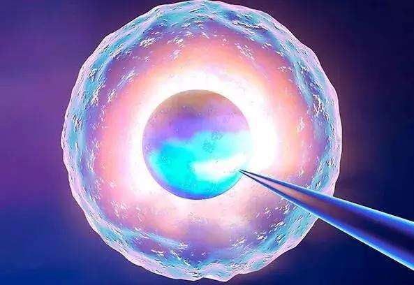 大龄试管婴儿移植成功率有多高？怎么提高成功率？
