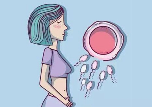 在马鞍山做试管婴儿成功率高吗？怎么选择试管方案？