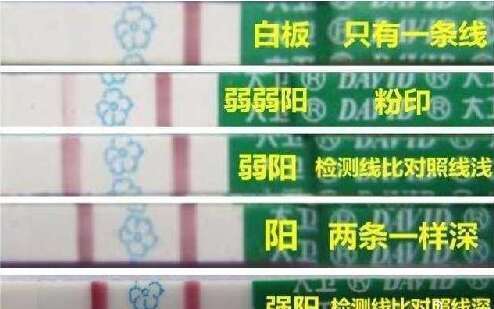 在昆明做试管一般需要多少钱？怎么选择试管方案？