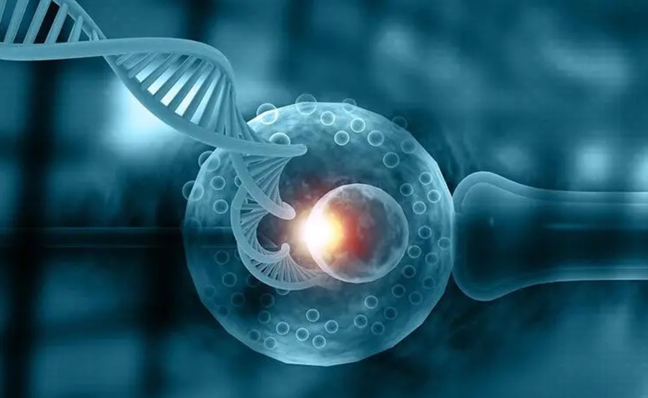 在上海做第三代试管婴儿的成功率是多少？需要多少钱？