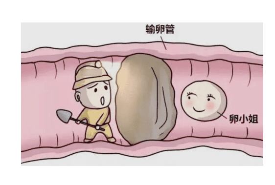 泰国三代试管婴儿总共多少钱？费用与成功率，如何选择？