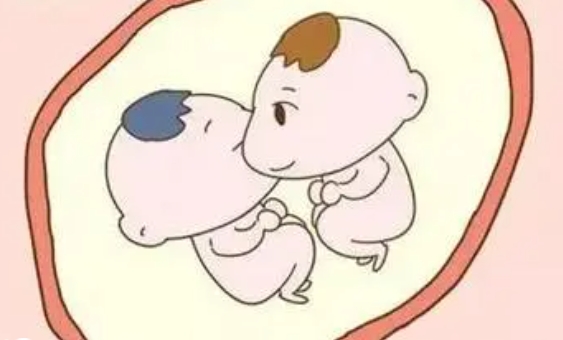 多囊卵巢促排卵的怀孕率高吗？