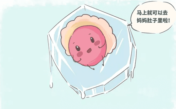 泰国试管婴儿：孕育生命的奇迹之旅