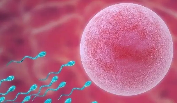 卵巢早衰患者的福音，天津三代试管助孕技术助您重拾生育希望