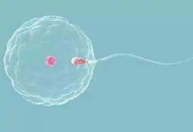 临沂市妇幼保健院试管婴儿费用，2025助孕省钱1-2万攻略