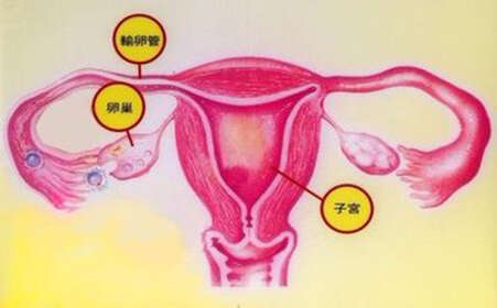 试管婴儿简单吗？需要多长时间？