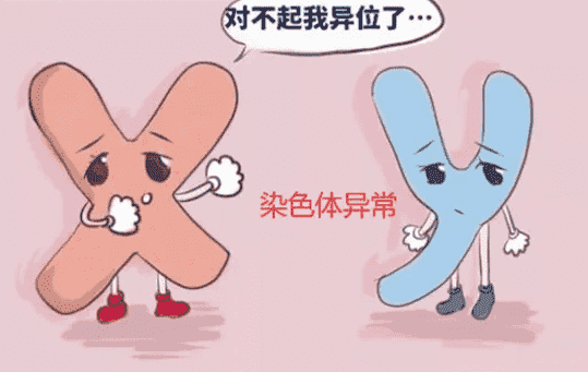 试管婴儿移植后会有什么症状？