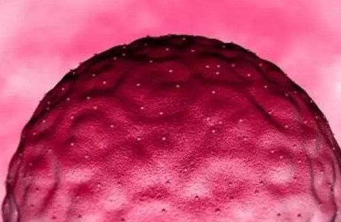 试管婴儿促排卵有几种方案？