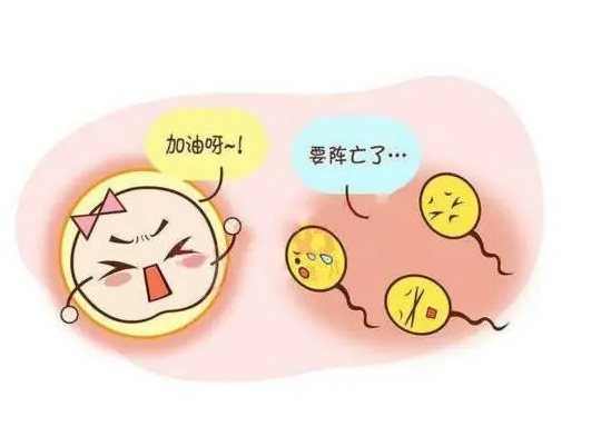 预防不孕不育有哪些方法