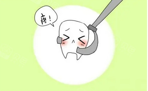 2025哈尔滨试管婴儿医院排名是怎样的？附试管婴儿成功率分析