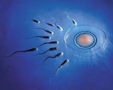 细数女人坚持喝豆浆的四大好处，不仅防治疾病还美容养颜