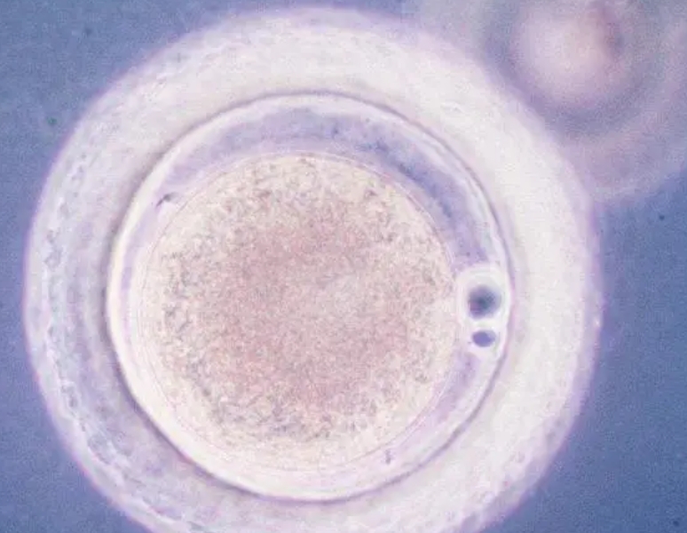 广州试管婴儿成功率高的医院有哪些？这十家试管婴儿医院实至名归